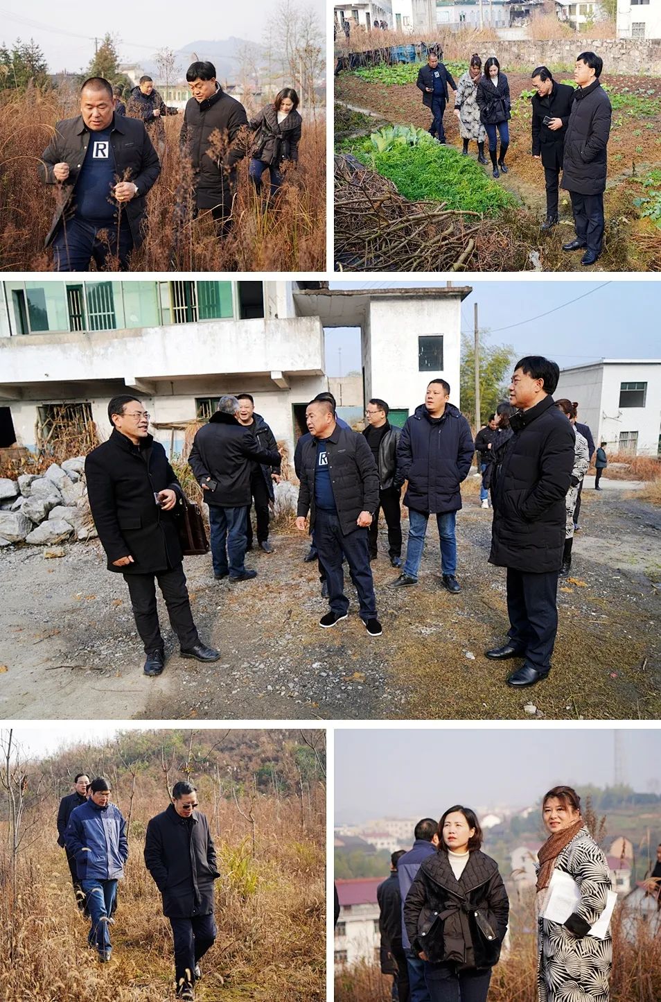 微信图片_20220104114244.jpg 微信图片_20220104114244.jpg